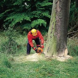 Echo Kdesav EC-CS621-SX