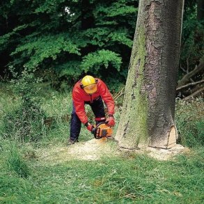 Echo Kdesav EC-CS621-SX