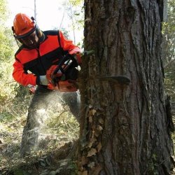 Echo Kdesav EC-CS621-SX