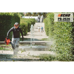 Echo Lvblser PB-2520