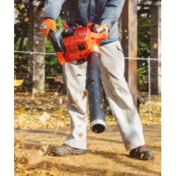 Echo Lvblser PB-2620