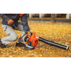 Echo Lvblser PB-2620