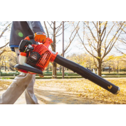 Echo Lvblser PB-2620