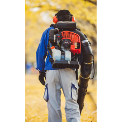 Echo Rygbren lvblser PB-8010