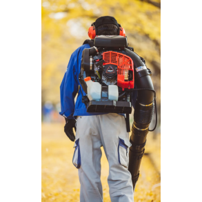 Echo Rygbren lvblser PB-8010