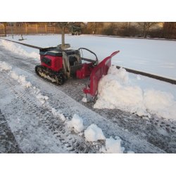 RC 1000 Redskabsbrer p larvebnd